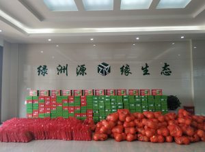 月是中秋明,情满绿洲源 月是中秋明,情满绿洲源